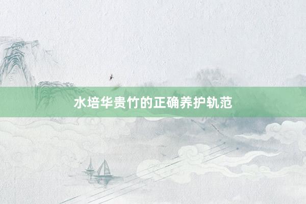 水培华贵竹的正确养护轨范